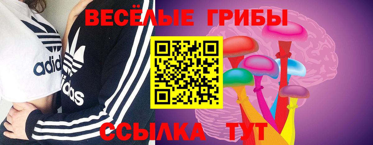 Галлюциногенные грибы MAGIC MUSHROOMS  Вход с VPN  Югорск 